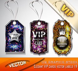 VIP标签：Elegant VIP cards vector labels